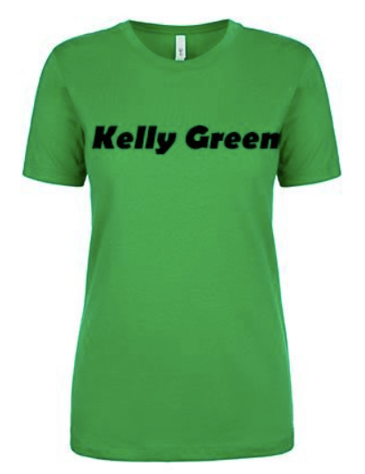 Ladies Fitted Scoopneck T-Shirt