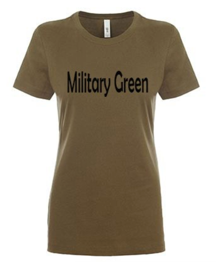 Ladies Fitted Scoopneck T-Shirt