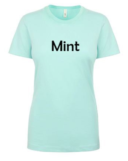Ladies Fitted Scoopneck T-Shirt
