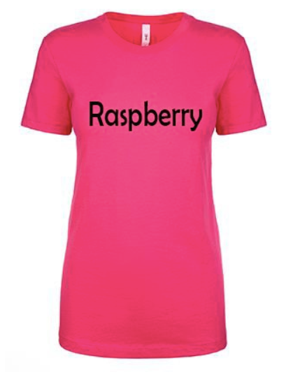 Ladies Fitted Scoopneck T-Shirt