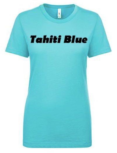 Ladies Fitted Scoopneck T-Shirt