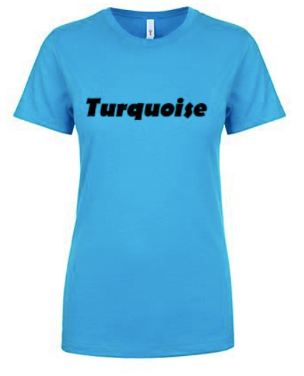 Ladies Fitted Scoopneck T-Shirt