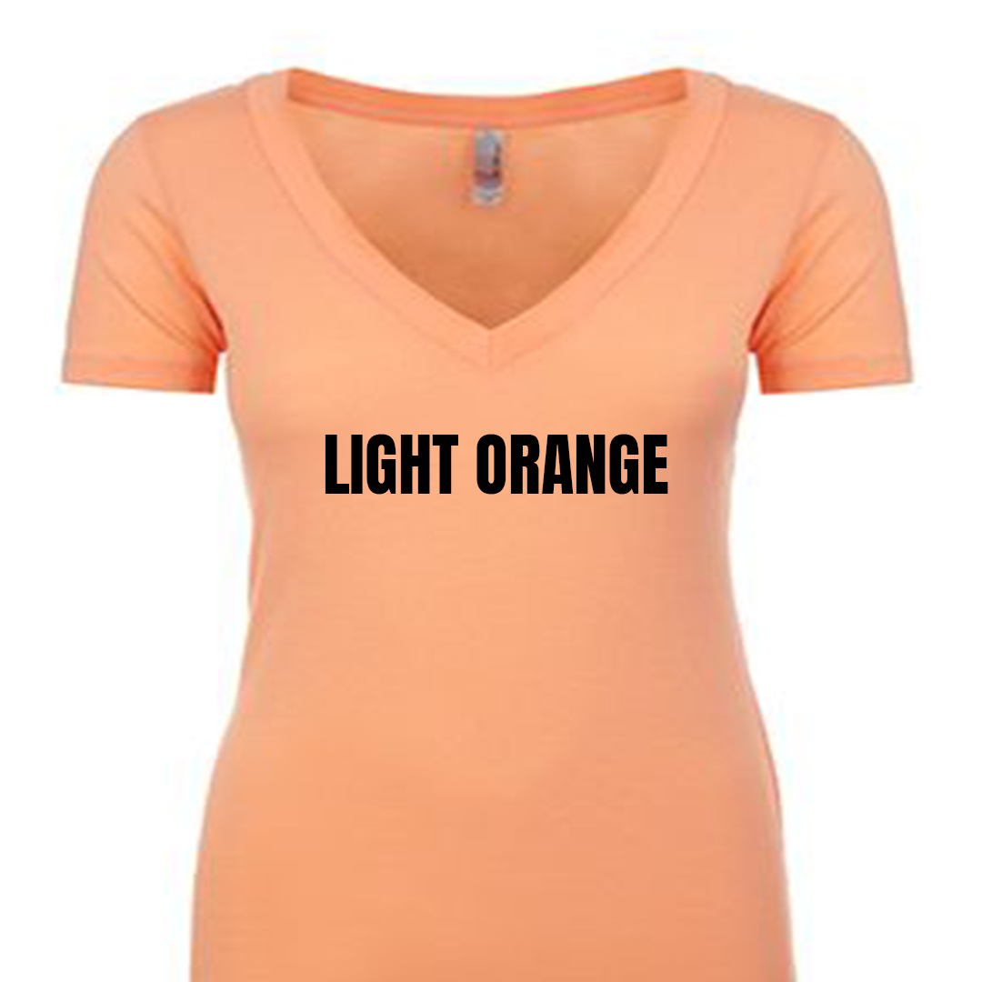 Ladies Fitted V-neck T-Shirt