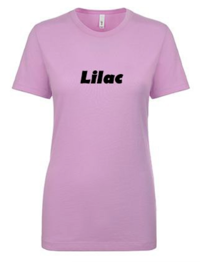 Ladies Fitted Scoopneck T-Shirt