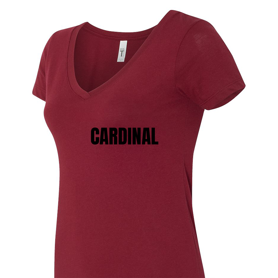 Ladies Fitted V-neck T-Shirt