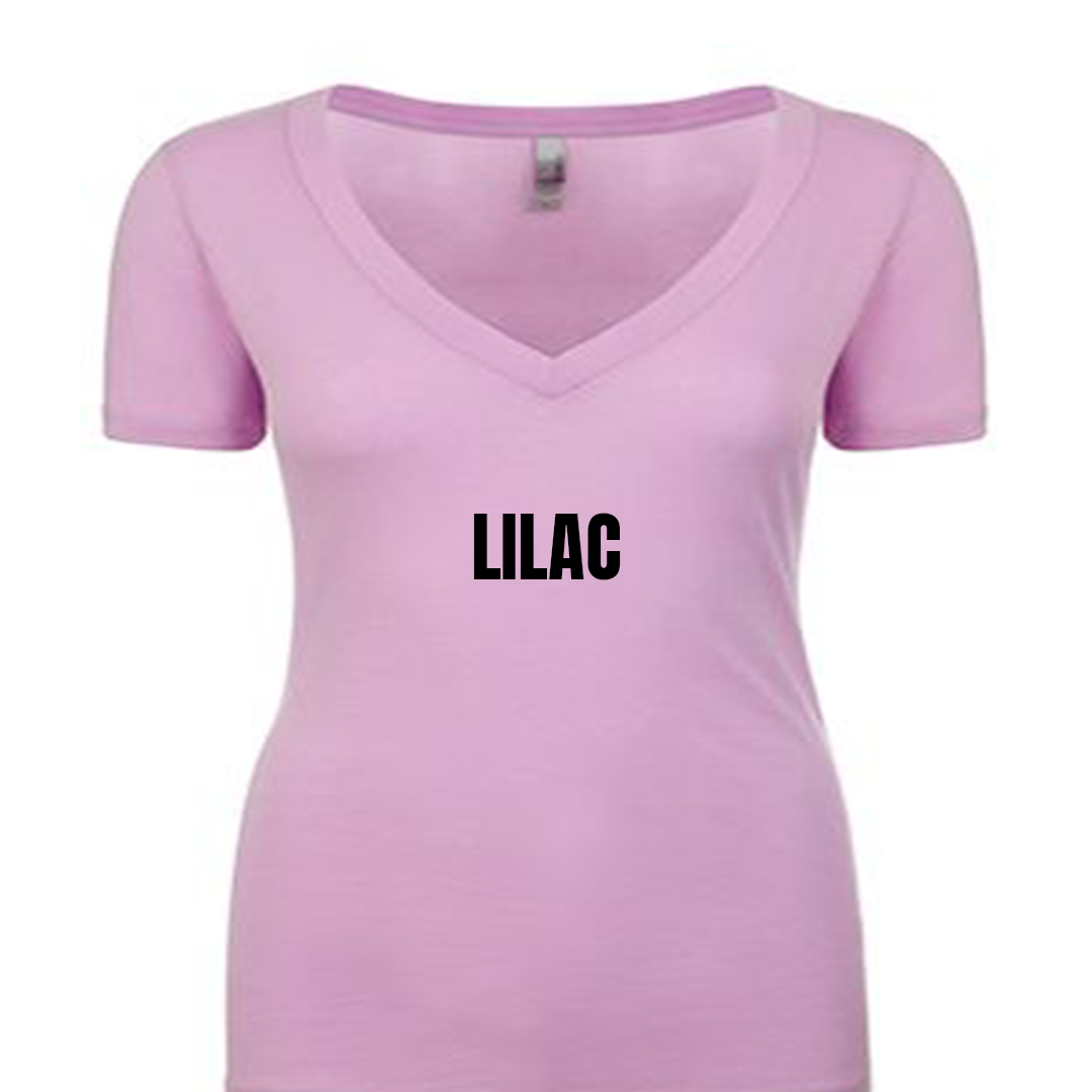 Ladies Fitted V-neck T-Shirt