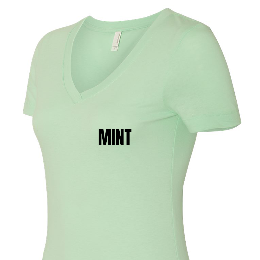 Ladies Fitted V-neck T-Shirt