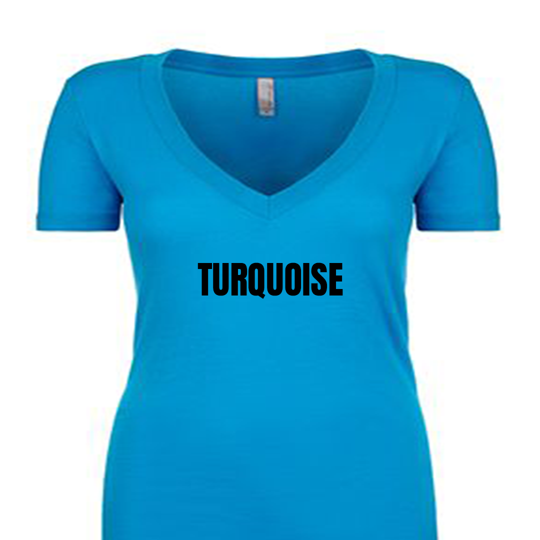 Ladies Fitted V-neck T-Shirt